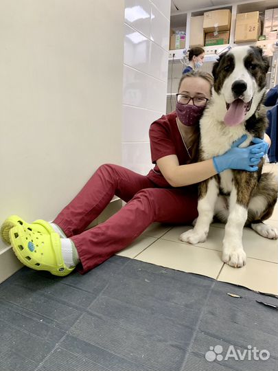 Узи на дому