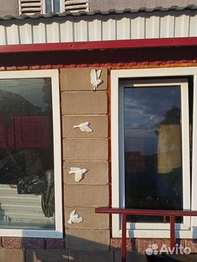 Декор для стен птички