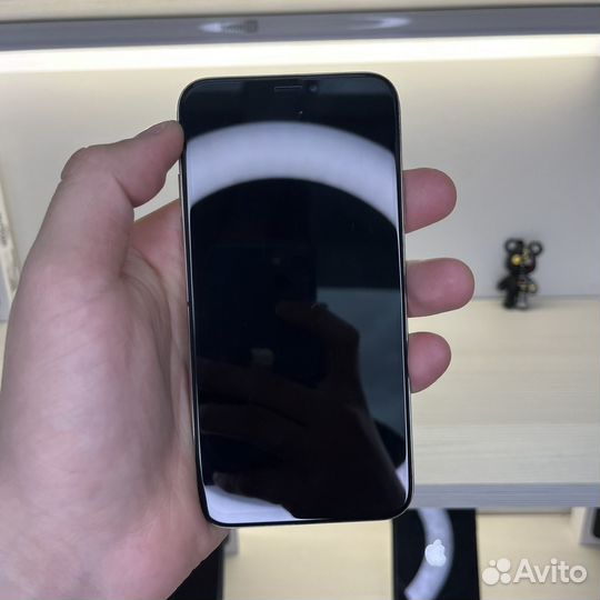 iPhone X, 256 ГБ