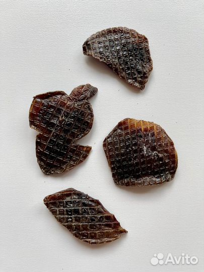 Лакомства для собак: Почки говяжьи сушеные