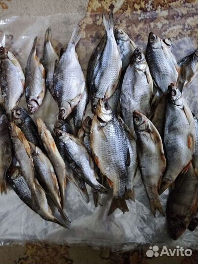 Сушёная рыба