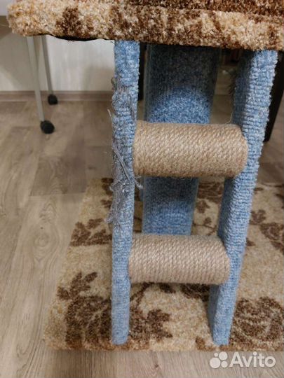 Комплекс для кошек