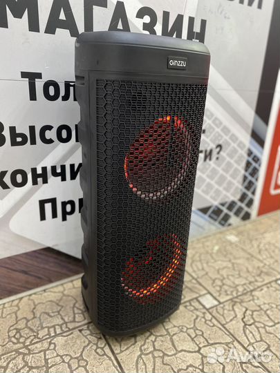 Акустическая система Ginzzu GM-222