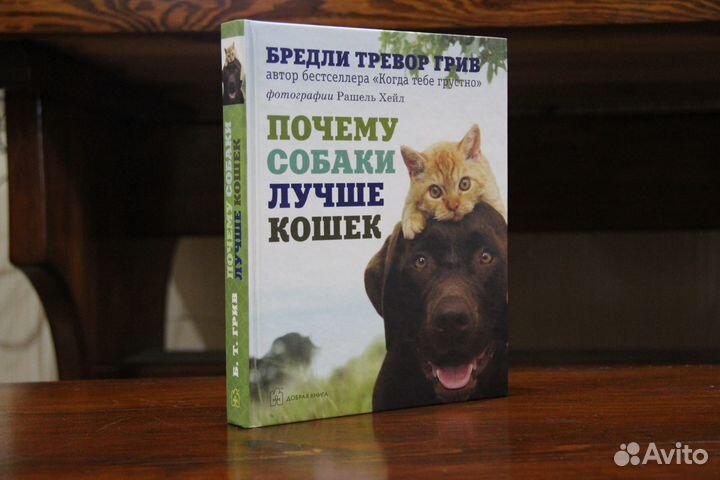 Почему собаки лучше кошек