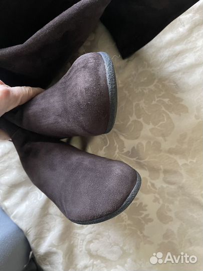 Ботфорты сапоги Loriblu оригинал