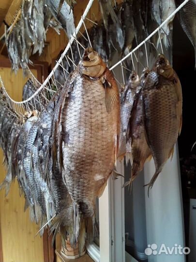 Продается сорожка