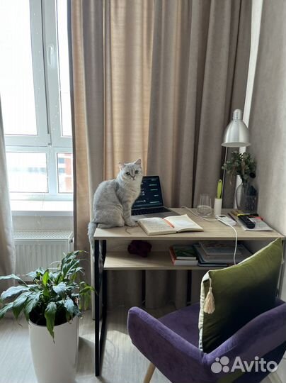 Присмотр передержка за животными район панорама