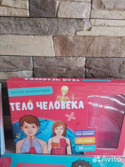 Магнитная игра Тело человека