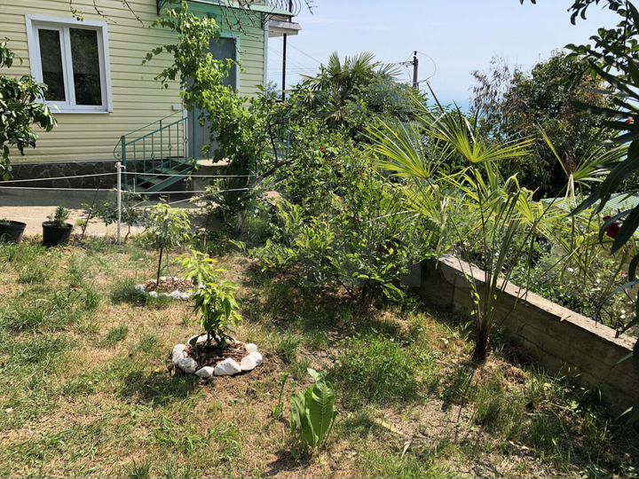 Дом 48 м² на участке 5 сот.