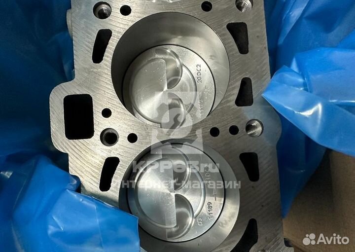 Блок цилиндров 11189 в сборе Ларгус