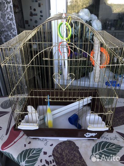 Клетка для попугая