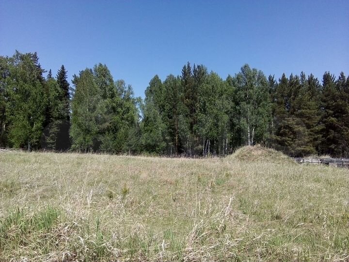 Участок 13,5 сот. (СНТ, ДНП)