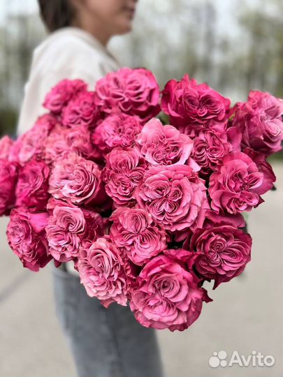 Пионовидная роза кантри блюз