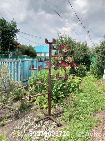 Продам петуниевое дерево