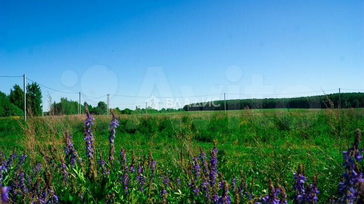 Участок 10,7 сот. (ИЖС)