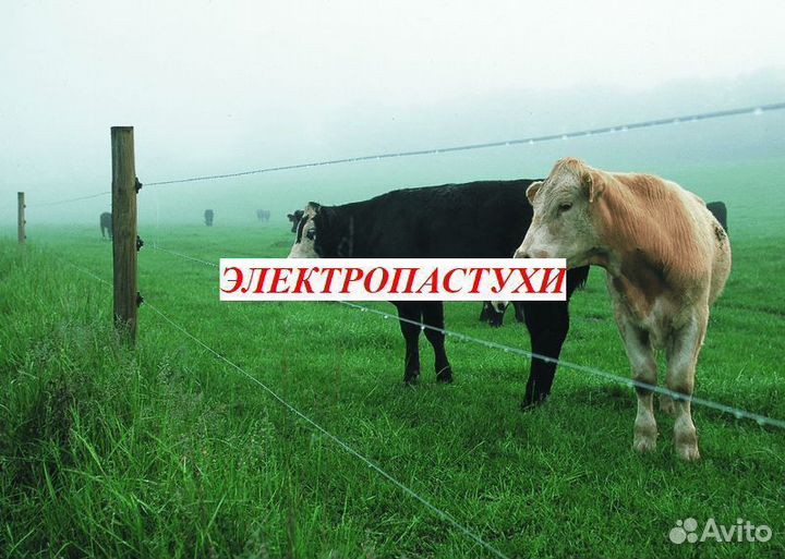 Электропастух