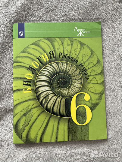 Новые рабочие тетради для 6 класса