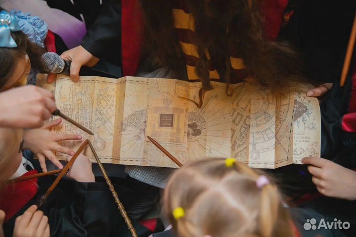 Квест Гарри Поттер и Гермиона Аниматоры