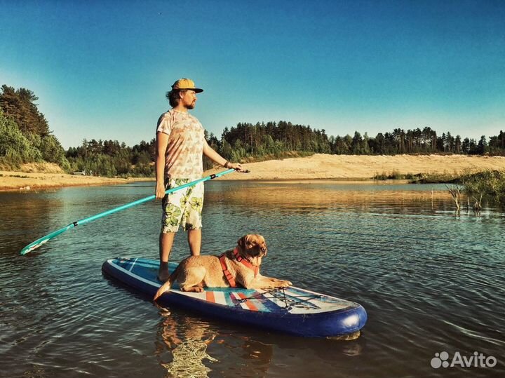 Sup board прокат и аренда сапов