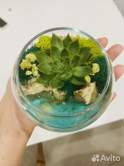 Флорариум Подарок Цветы