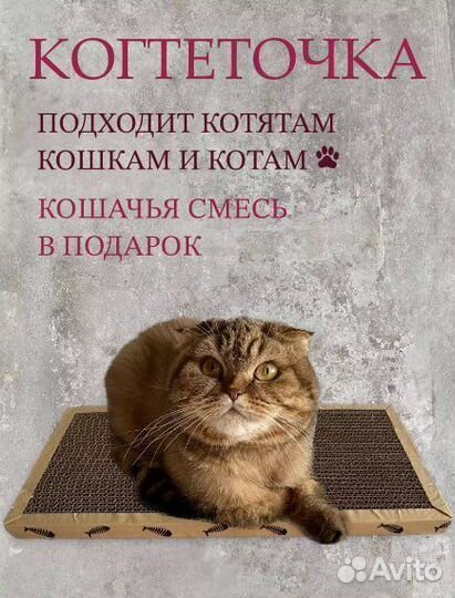 Когтеточка для кошки, лежанка коврик картонная