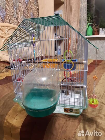 Клетка для попугая