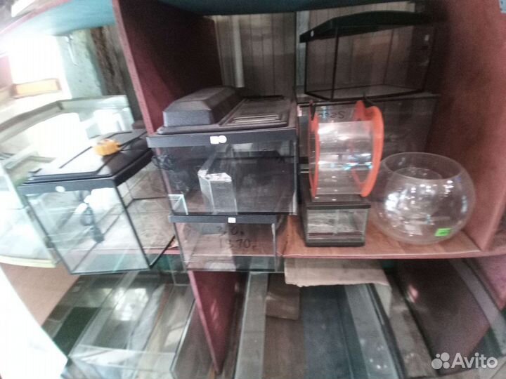 Аквариумы на заказ