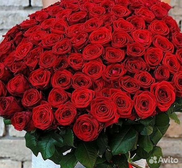 Высокие розы Букеты с доставкой