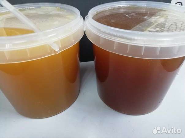 Мед натуральный алтайский разнотравье