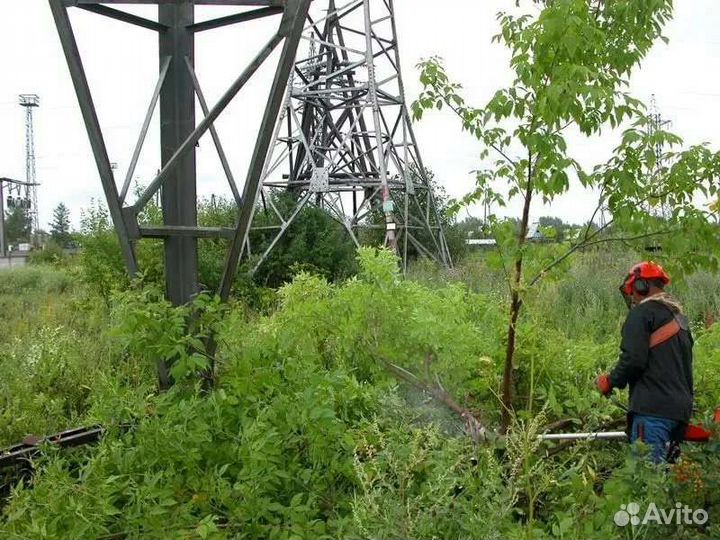 Требуются рабочие на расчистку от дкр