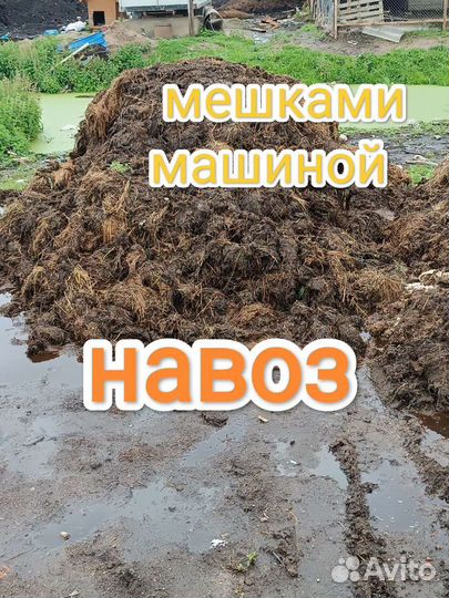 Навоз коровий