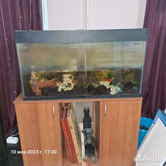 Аквариум