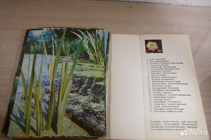 Открытки СССР