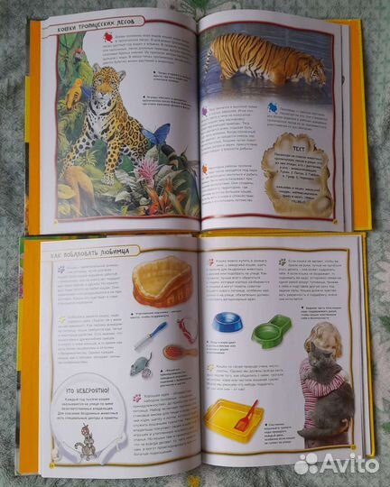 Очень много детских книжек