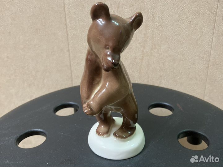 Бурый медведь. лфз