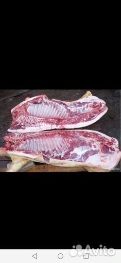 Мясо свинина домашняя