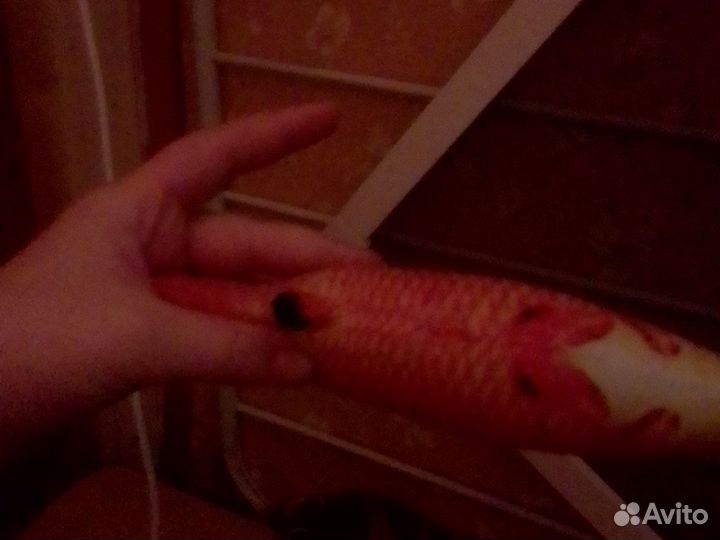 Игрушка для кота