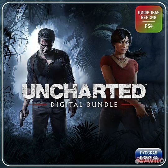 Uncharted 4 + Uncharted The Lost Legacy PS4 PS5