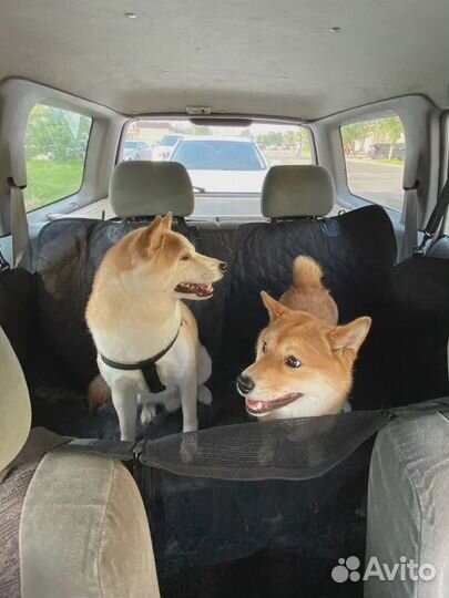 Автогамак для Собак в машину с Бортами на Сидение