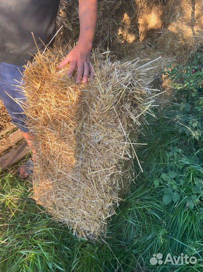 Солома в тюках