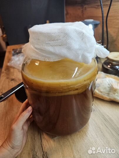 Чайный гриб