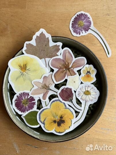 Ботанические наклейки (набор 11 штук)