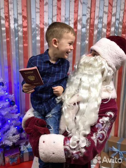 Дед мороз на дом