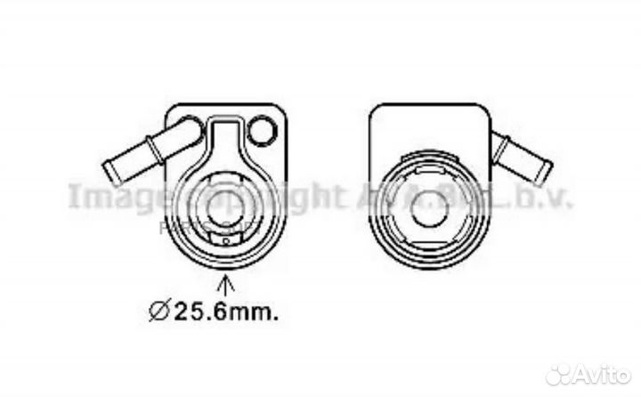 AVA FD3622 Радиатор масляный Ford B-Max C-Max Ecos