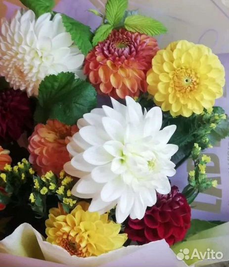 Георгины клубни