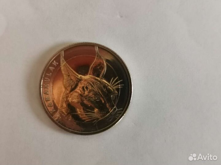 Турция 1 куруш 2021 Каракал