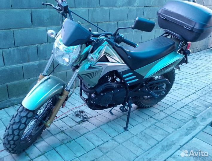 Racer Forester