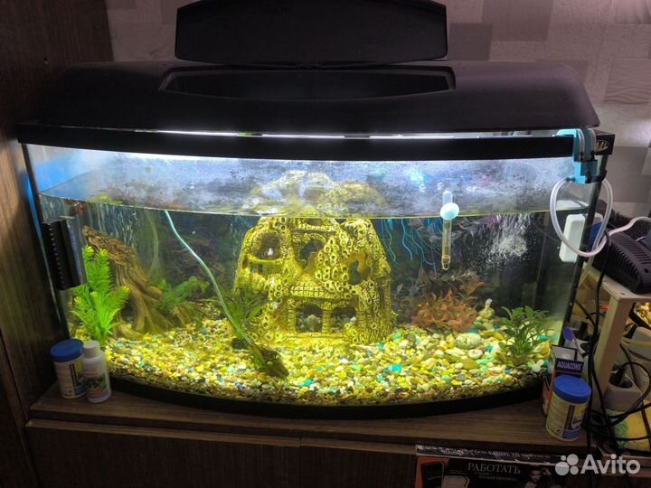 Аквариум и рыбки