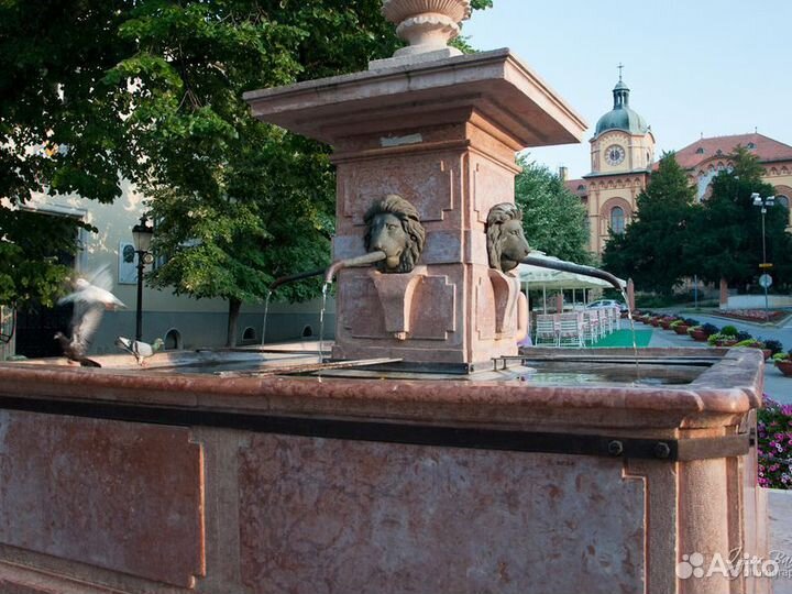 Экскурсия — Белград — Фрушка Гора — Сремские Карло