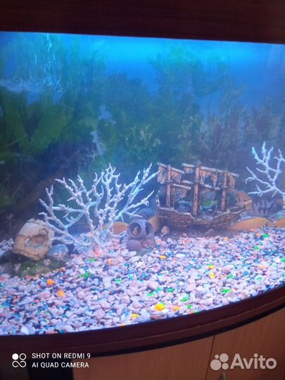 Аквариум с тумбой 170 литров